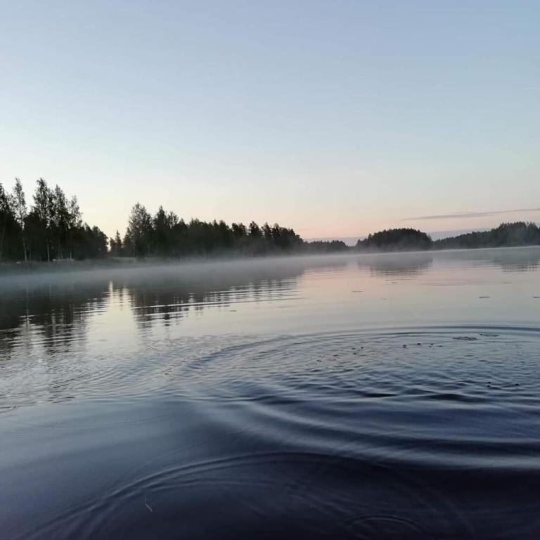 Mansikkaniemen Lomakeskus Rantasalmi Extérieur photo