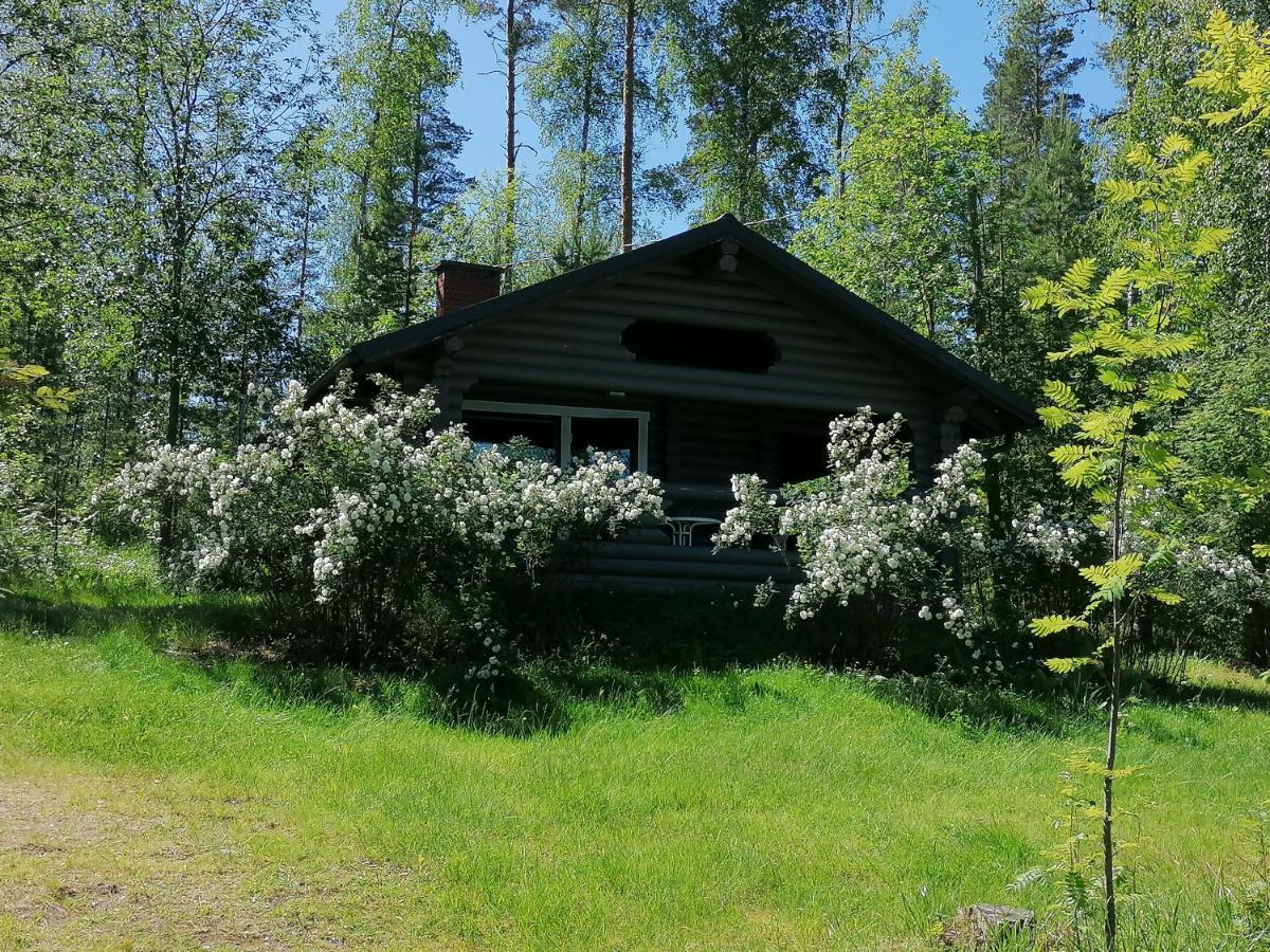 Mansikkaniemen Lomakeskus Rantasalmi Extérieur photo